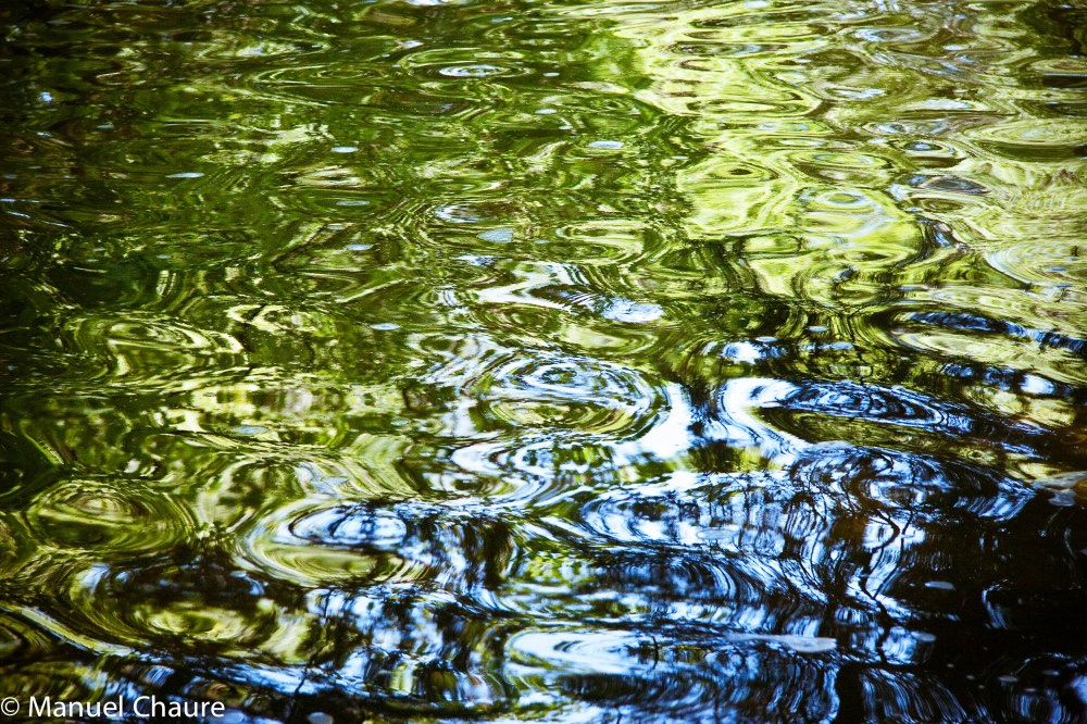 Reflection. Parque del Capricho, Madrid