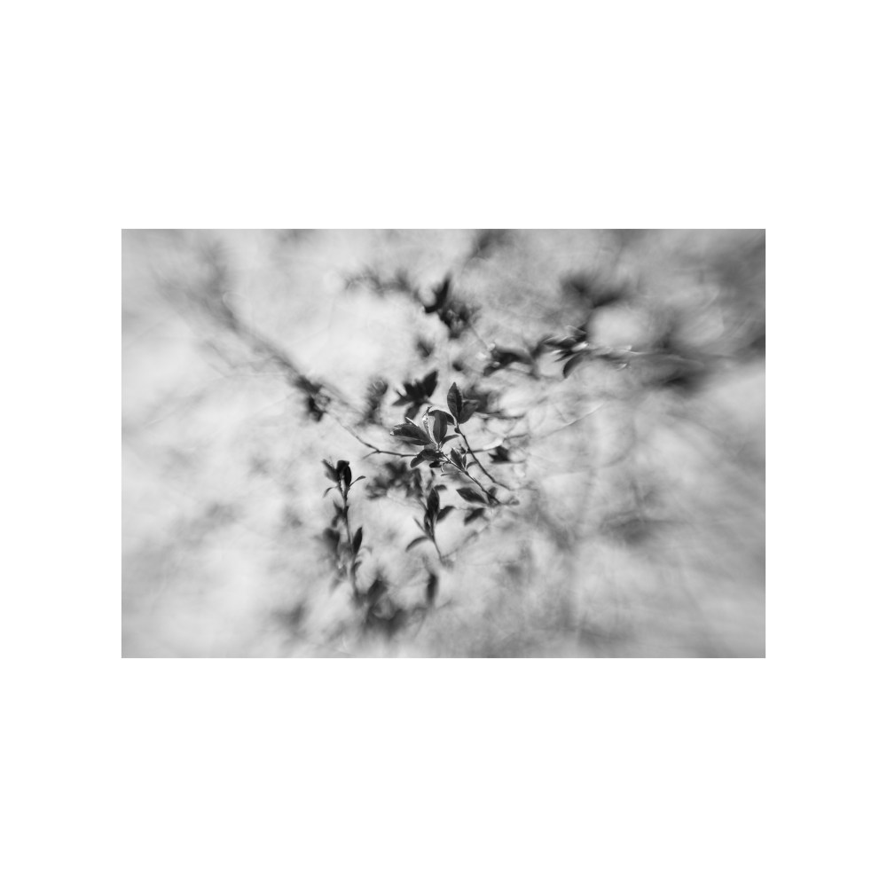 Abtract leves. Madrid