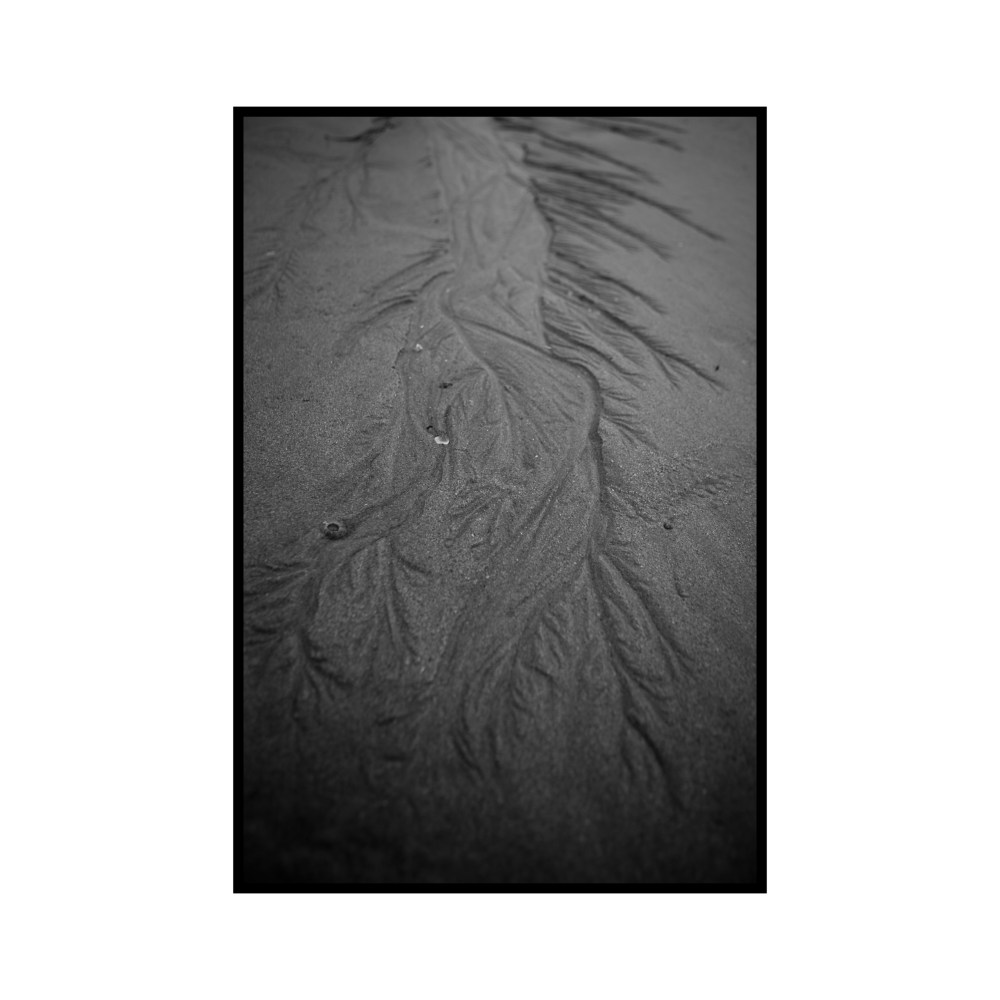 Path on the sand. Galicia, Spain