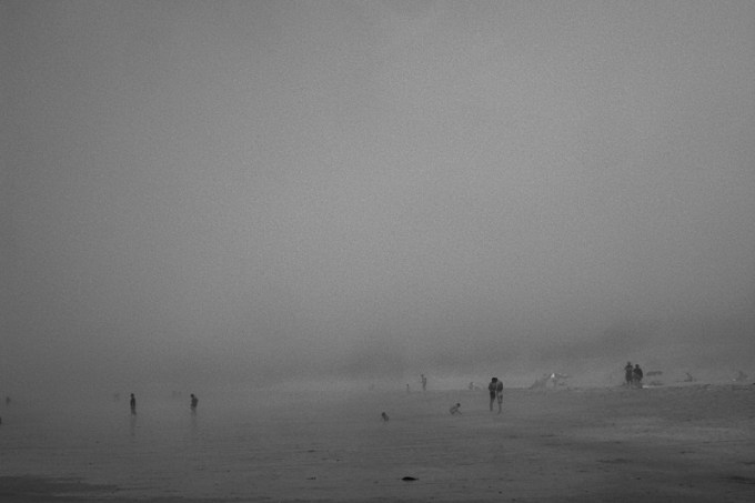 Foggy day, Montalvo. Galicia, Spain